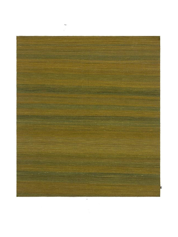 ZILI ROMA MOSS