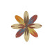 Produto ID: 37082, Imagem 1.