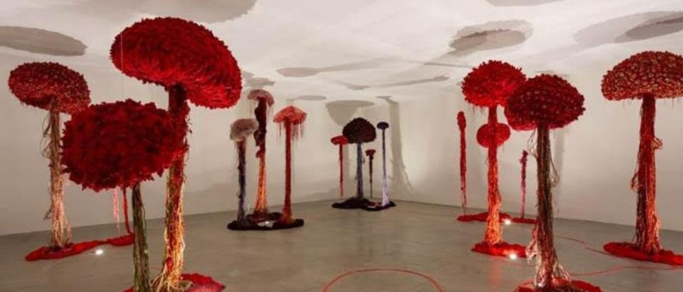 ENFEITE DECORA | by Kamy leva a instalação “A Água é Viva” para a Bienal de Arquitetura Brasileira 2026