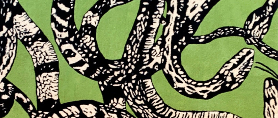 Revista Decor - Porto Alegre | Tapete Fauna Mix Serpente por Regina Silveira