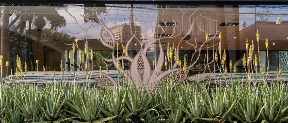 Vitrine by Kamy Maison por Rodra Arquitetura