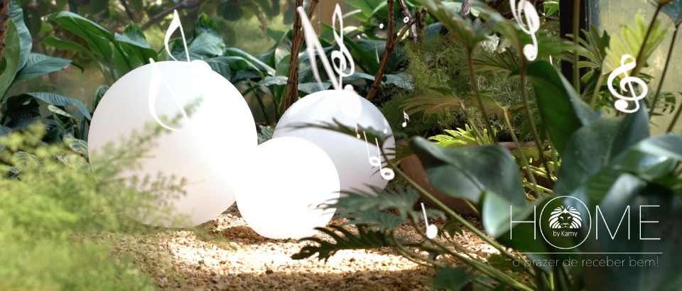 SOM, LUZ E LIBERDADE!