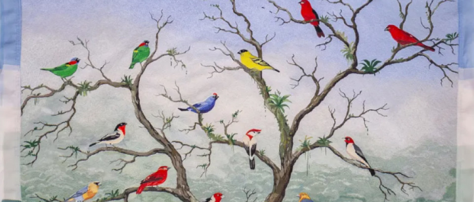 Casa | DW! Semana de Design de São Paulo 2024: confira os principais destaques!